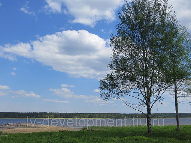 Kupite zemljište na području Kingisepp, Lenjingradska oblast