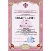 СРО Аудиторов фото