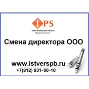 эластичность как сменить ген директора в ооо сайте нашего
