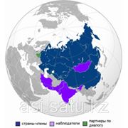 Межбанковские отношения и перспективы их развития (АО Альянс Банк) фото