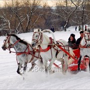 Упряжь Троечная парадная фото