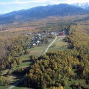 Тур на камусных лыжах до Колбиной поляны фото