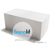 Блок газосиликатный Д300 600х250х300 Bonolit фото