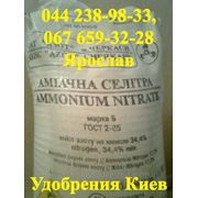 Азофоска удобрение для газона Азофоска удобрение для газона