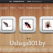 Уничтожение насекомых и грызцнов фото