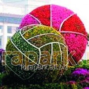 Каркас топиарной фигуры Мяч фото