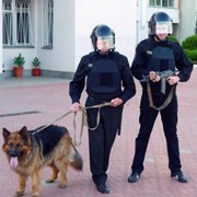 Охрана бизнеса фото
