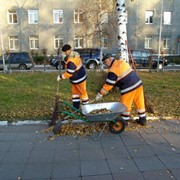 Уборка земельного участка фото