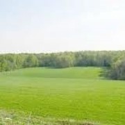 Подбор земельных участков фото