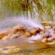 Услуги туристические фото