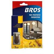BROS против фараоновых муравьёв фото