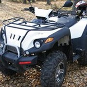 Мотовездеход Gamax AX600 фото