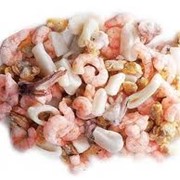 Свежемороженые морепродукты фото