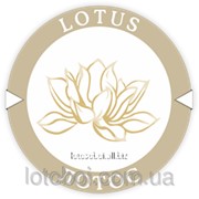 Обои “Дарина полоса“ ВК1-0645 4823059437124 фото