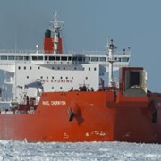 Импорт и экспорт сырой нефти и нефтепродуктов фото