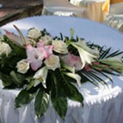Услуги по фитодизайну, флористике фото