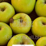 Яблоки фото