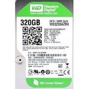 Жесткий диск HDD WD SATA3 320Gb Caviar Green 64Mb фото