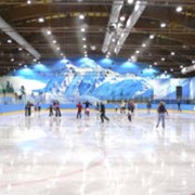 Каток искусственное покрытие для занятий спортом и играми фото