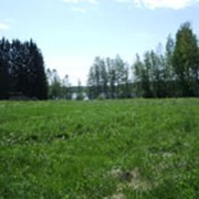 Продажа и подбор земельных участков фото