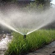 Устройство системы полива фото