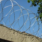 Спиральный барьер безопасности оцинкованный (АКЛ) фото