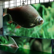Полный спектр светодиодных экранов, LED Display фото