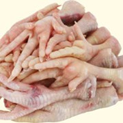 Ноги куриные фото