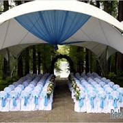 Изготовление скатертей, салфеток, чехлов на стулья, фуршетных юбок фото