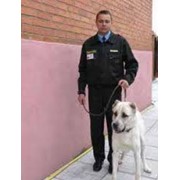 Организация охраны склада фото