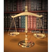 Представительство в суде Брянск фото