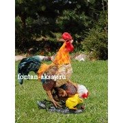 Петух с курицей и цыплятами фото
