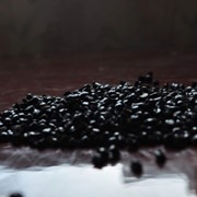 Полипропилен вторичный черный фото