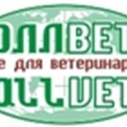 Моющее и дезинфицирующее средства для пищевой промышленности фото