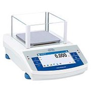 Лабораторные весы PS 6000/X Radwag фото