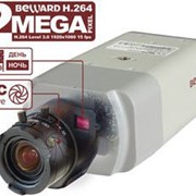 IP-видеокамера Beward BD4330H фото
