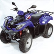 Квадроцикл KYMCO MXU 50 фото