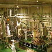 Оборудование для линии убоя птицы фото