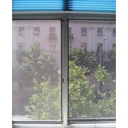 Антимоскитная сетка фото