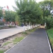 Мощение тротуаров и садовых дорожек фото