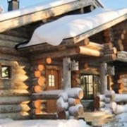 Строительство охотничьих домиков фото