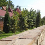 Озеленение фото