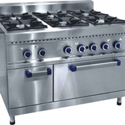Плита газовая шести горелочная с духовкой ПГК-69 ЖШ фото