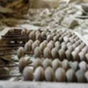 Ведение бухгалтерского учета фото