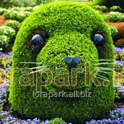 Каркас топиарной фигуры Голова Тюленя фото