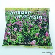 Клевер красный сорт Трубетчинский местный, 0.5 кг фото