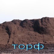 Торф фото