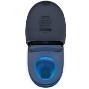 Nanobidet Monte Carlo фото