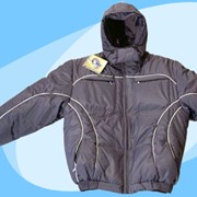 Куртки спортивные фото