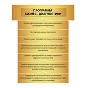 IT Аудит и диагностика бизнес-процессов предприятия фото